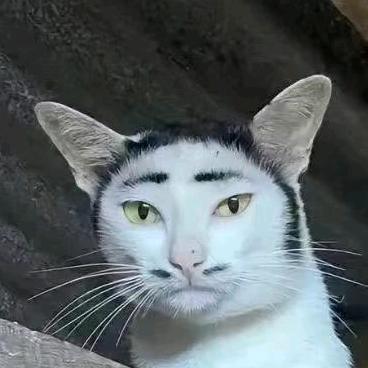 鉿灞䮻鳓灞𨭆乸嚒𨭆