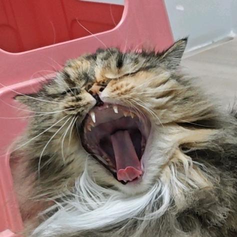 再过一会儿就好