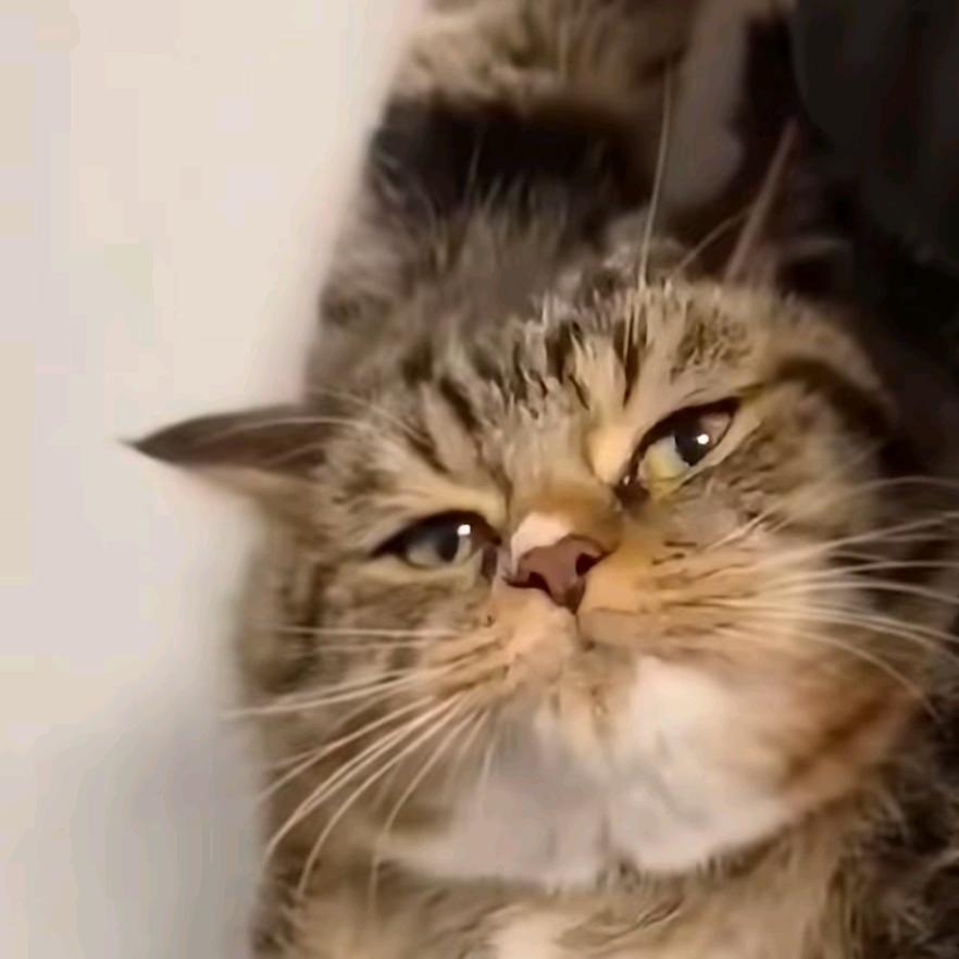 不中用的年轻人