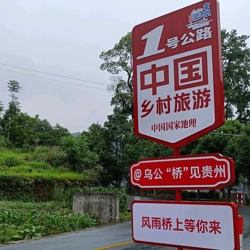 小趴菜