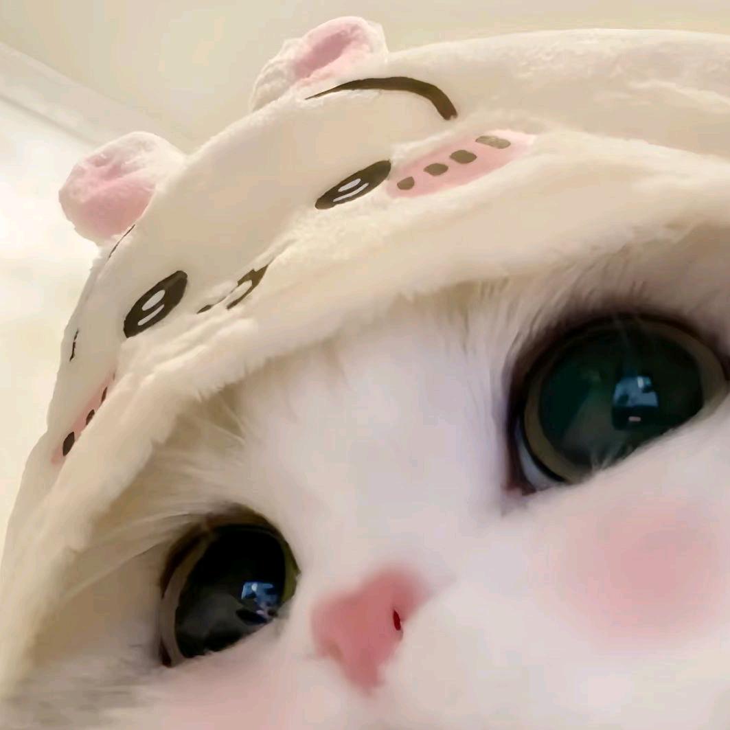 诺宝吖