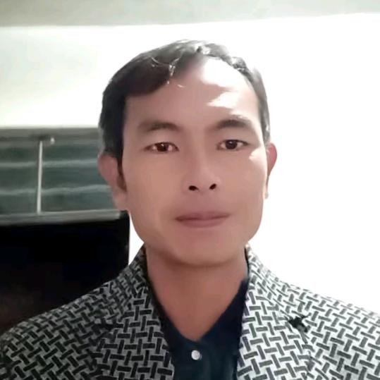 水龙藕塘
