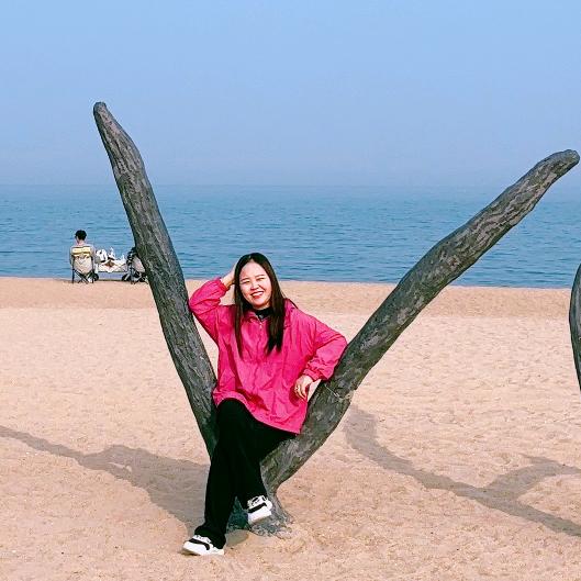 风和日丽