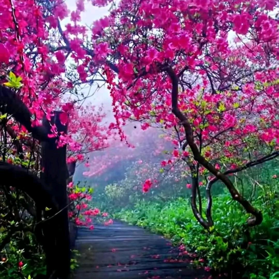 山雨
