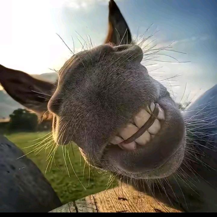 ༄༅钱多才是硬道理࿐