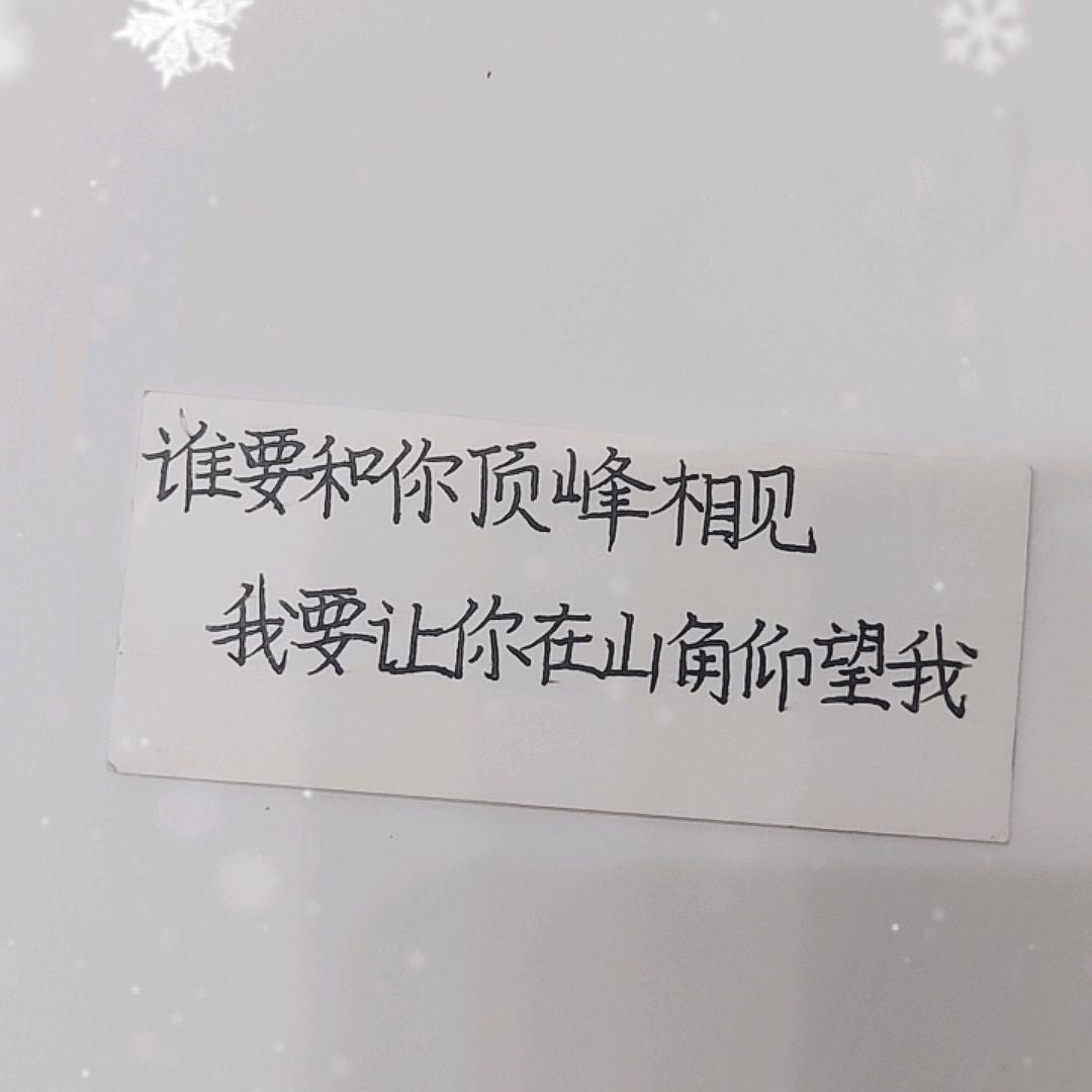 追光的人