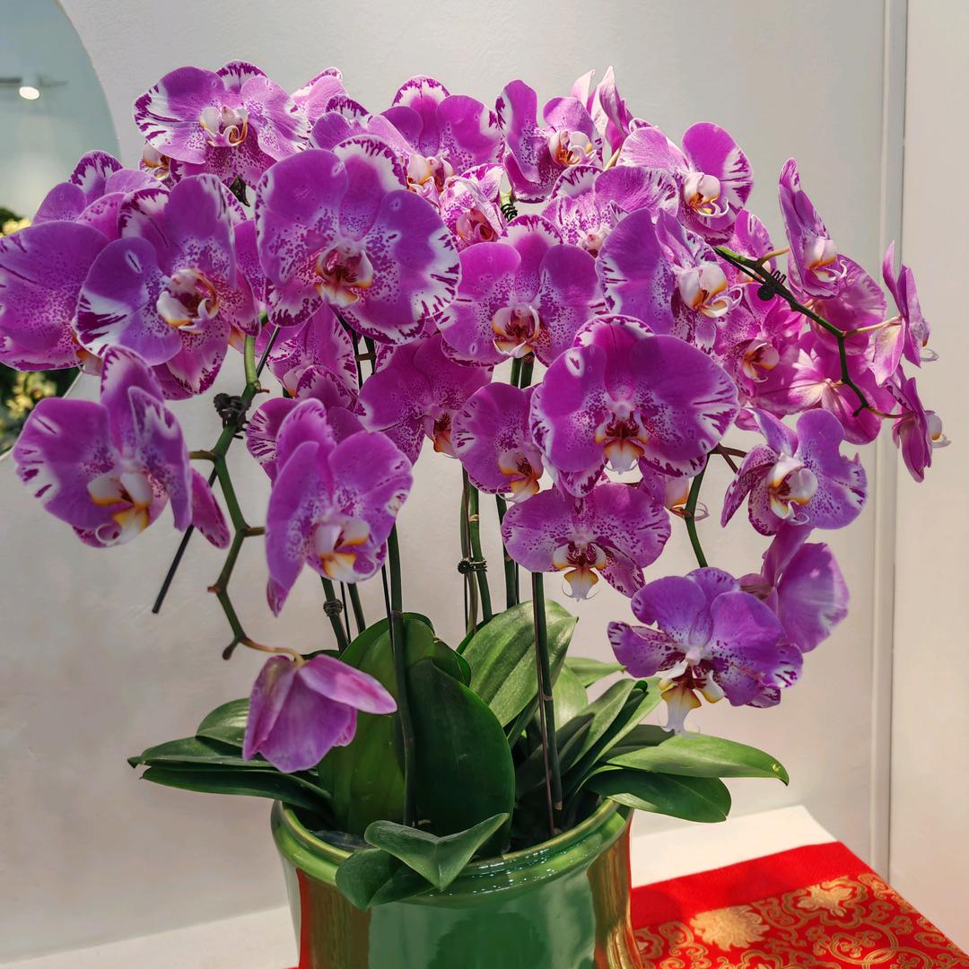 何为生活？？？