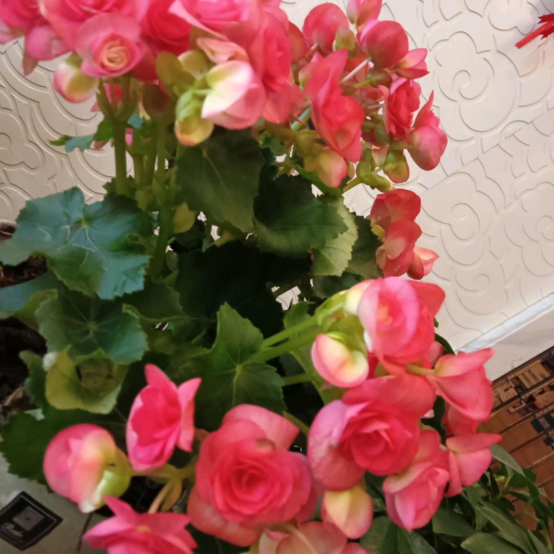 靠谁不如靠自己