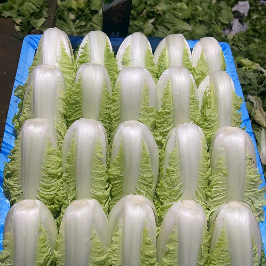 精品蔬菜加工