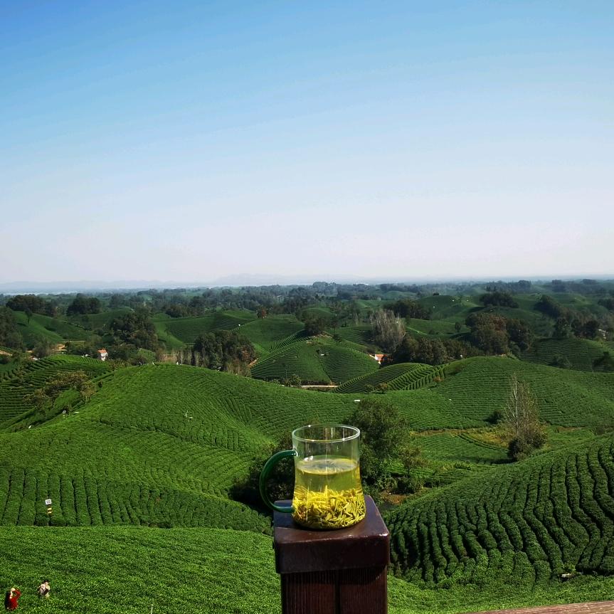 🇨🇳📱电话哥