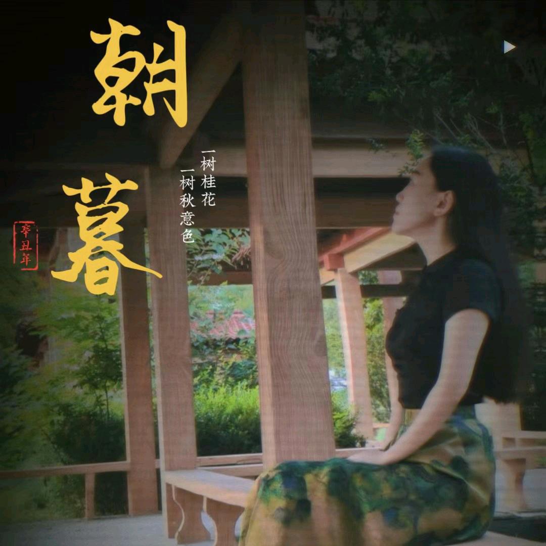 云衣裁剪