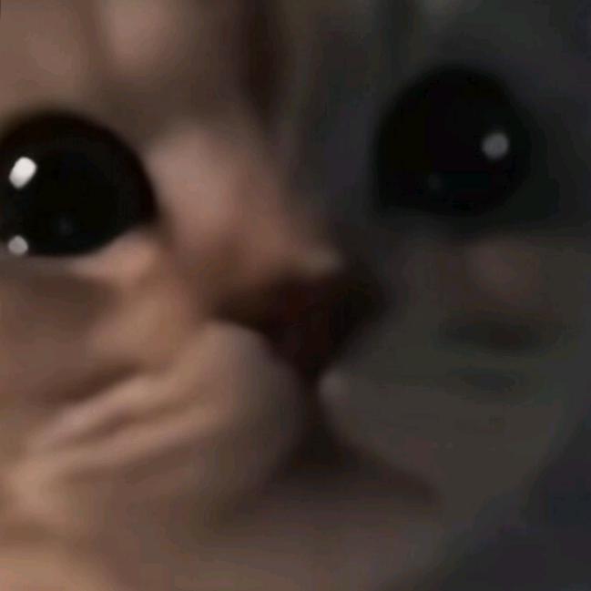lulu