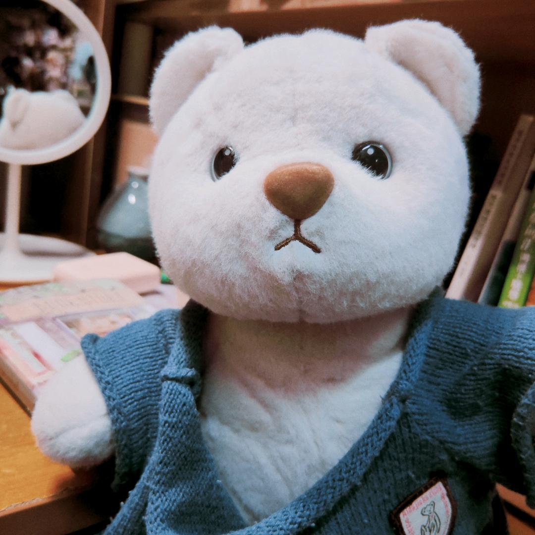 小熊贝壳摘星星