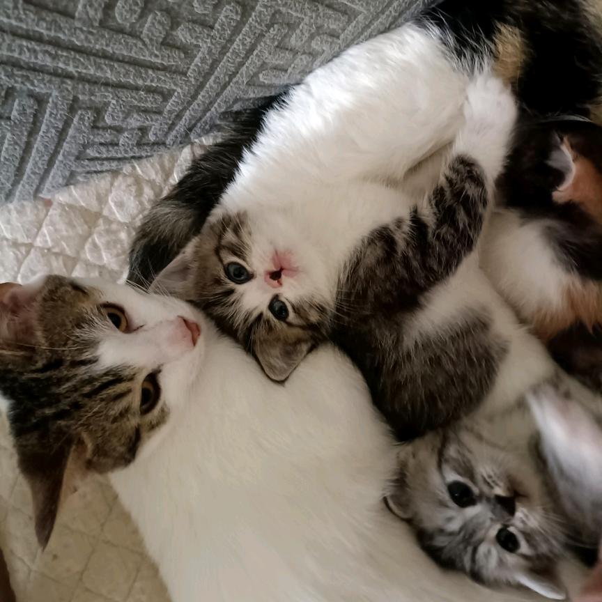 不爱请别伤害（主页有橱窗）