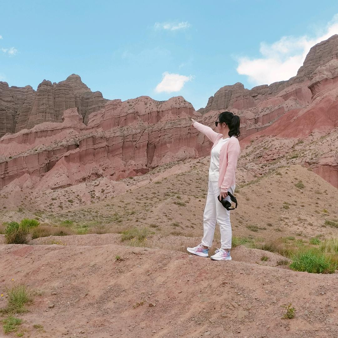 没有灵魂的苟友