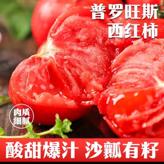 万物春光