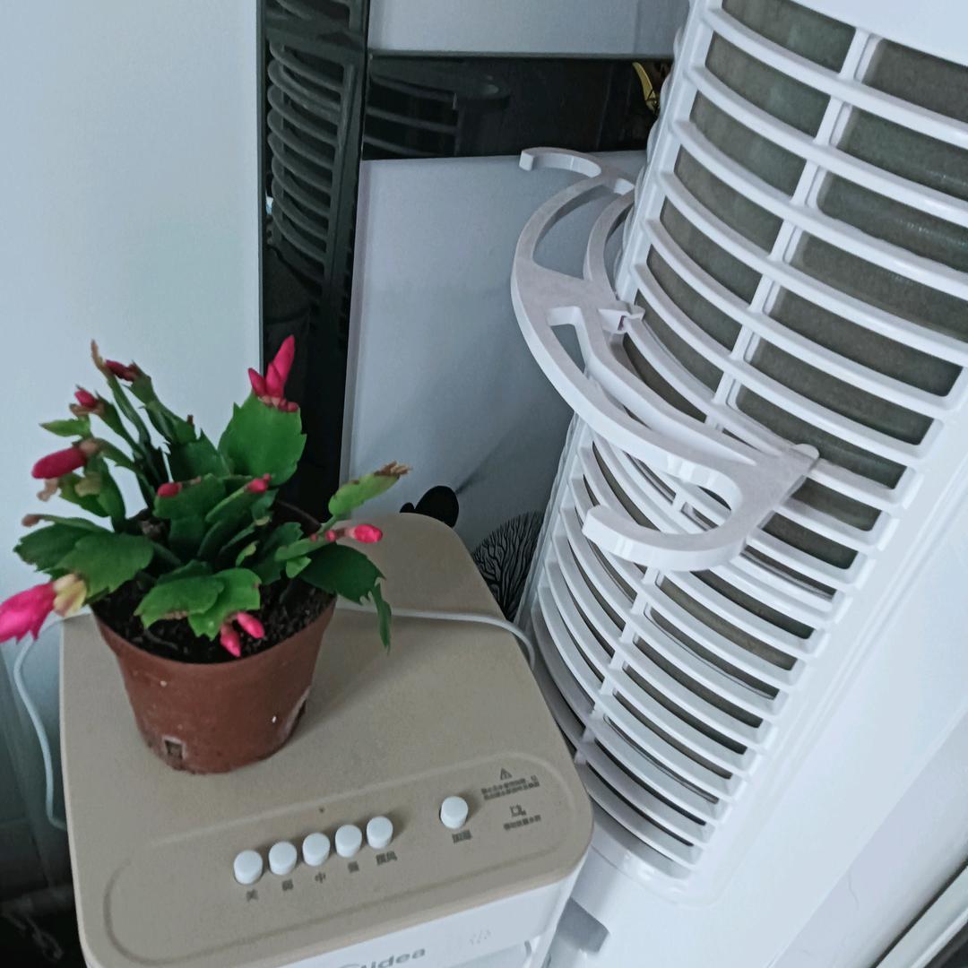 中老年养生吃少药多锻炼健康快乐行