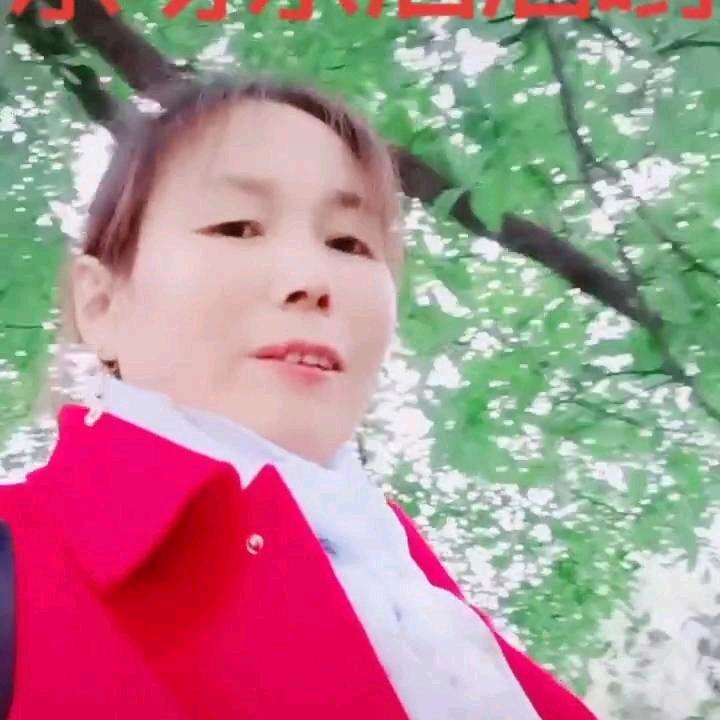 单身姐姐