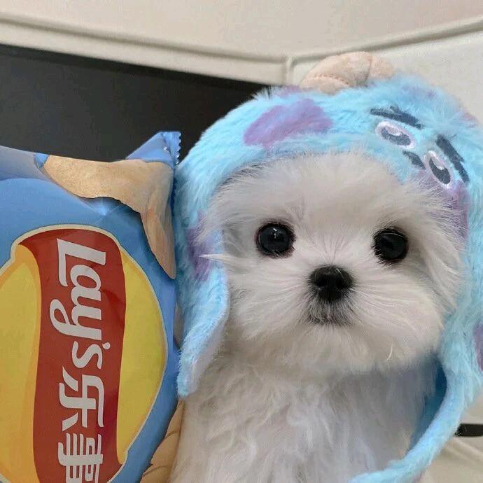 乐事˗ˋˏ 圈 ˎˊ˗