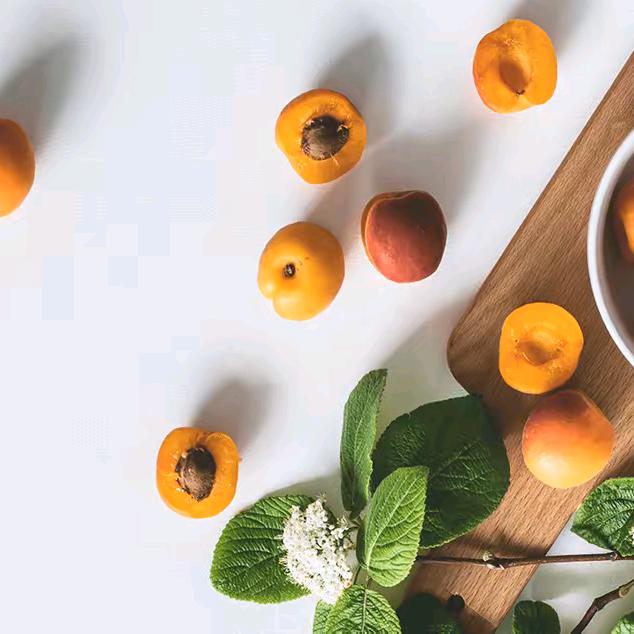 独闯(●—●)天崖