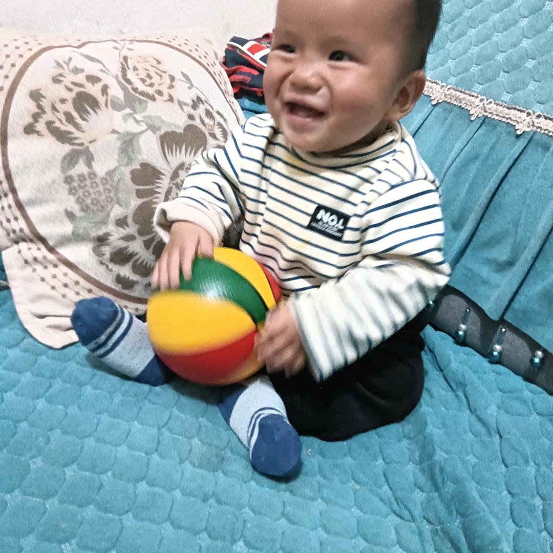 四海为家 批发冰棒