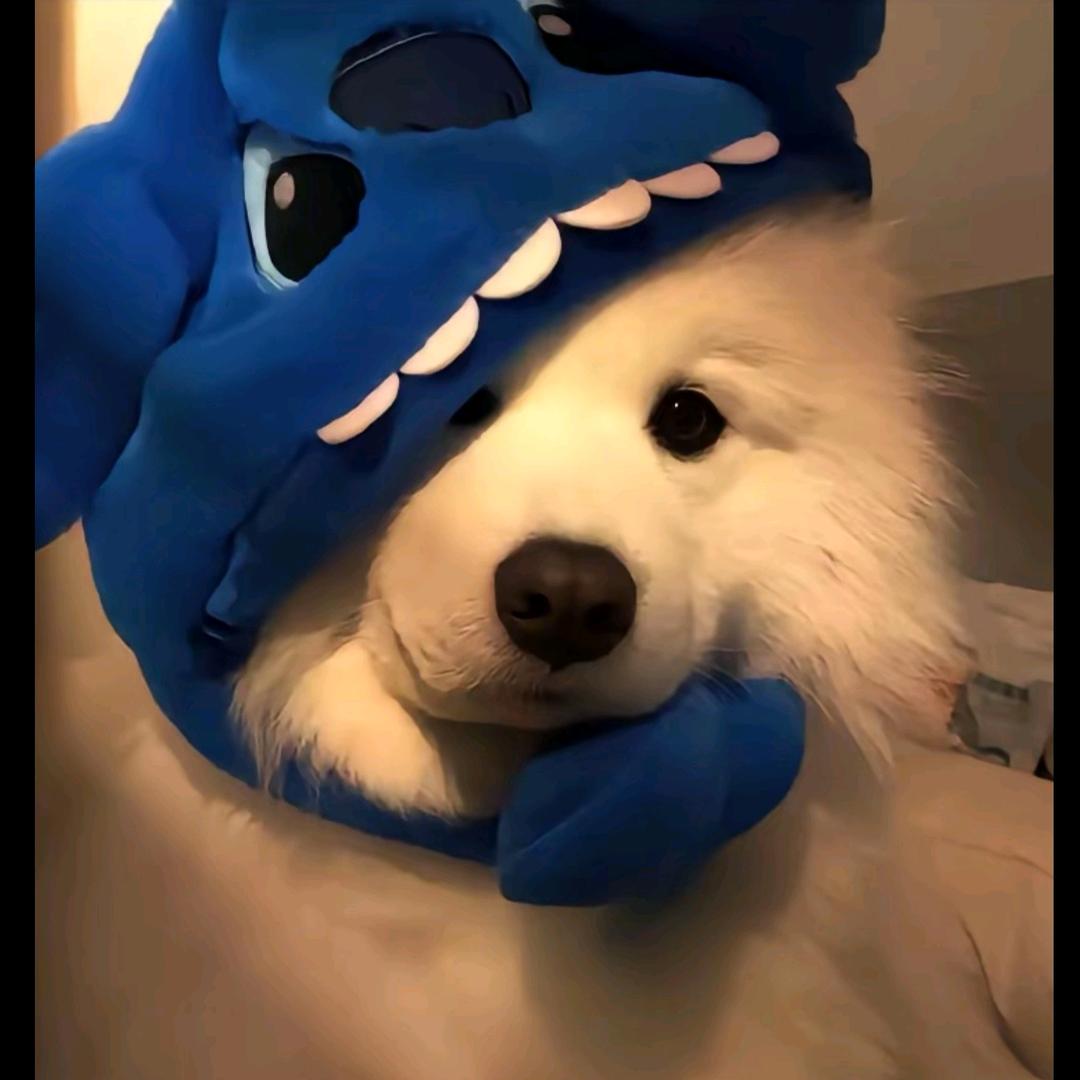 再睡五分钟（增肥版）