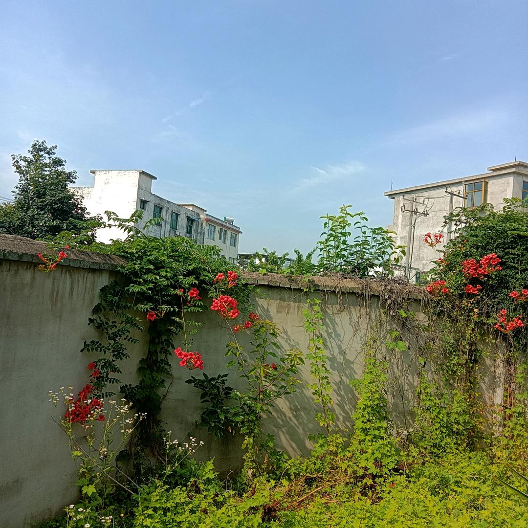 懂得