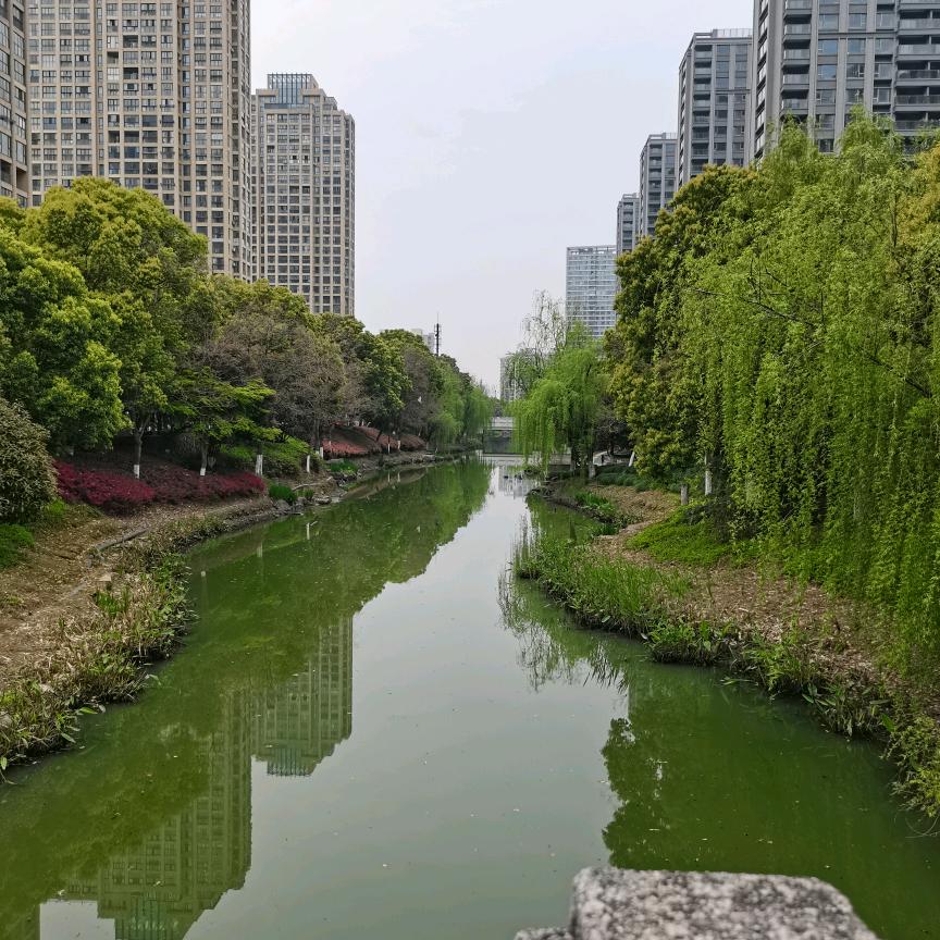 肖宇（拒绝私聊）