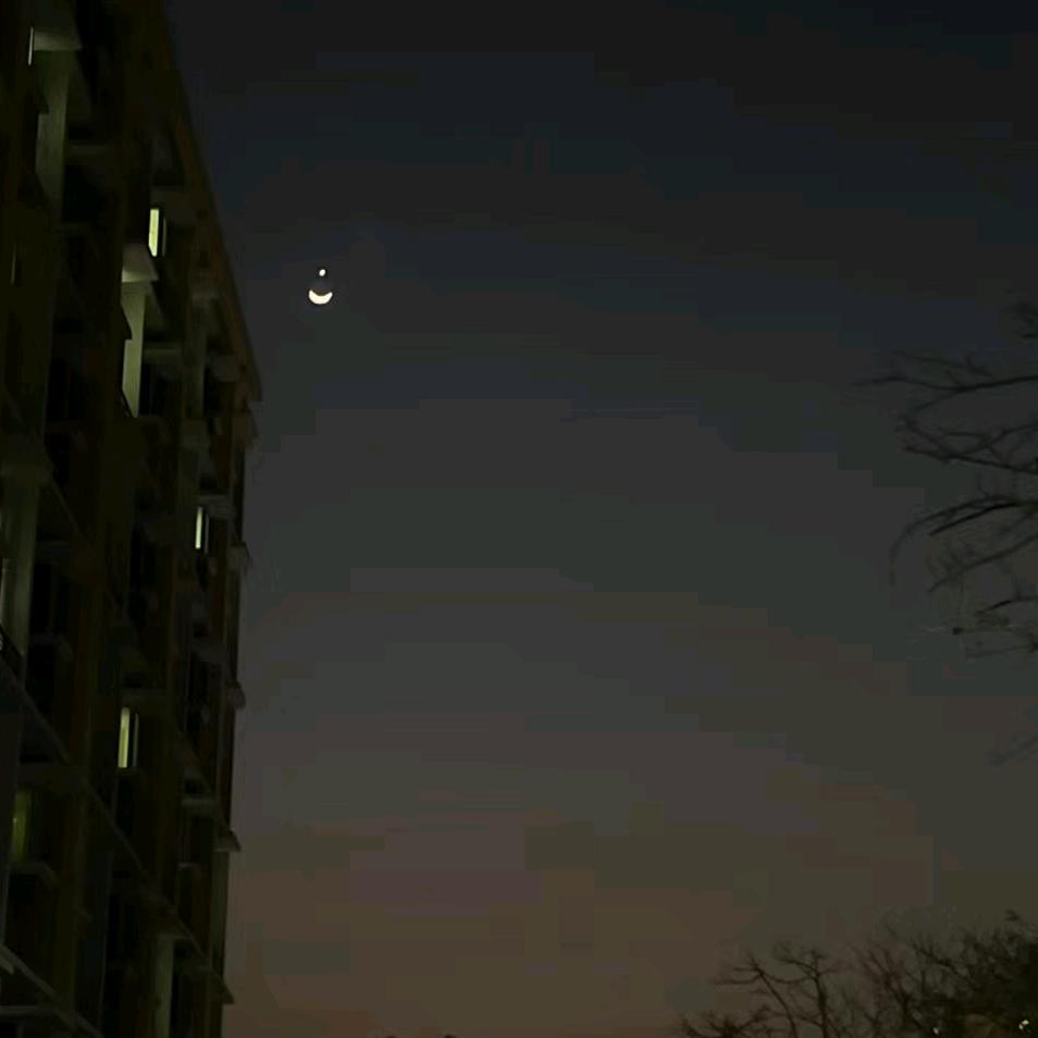 小猪头