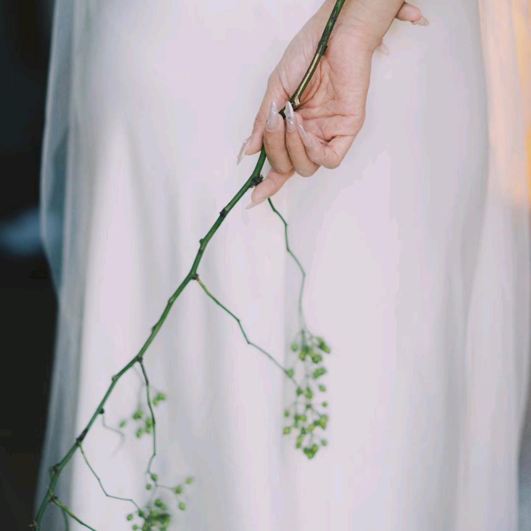 女摄偲含
