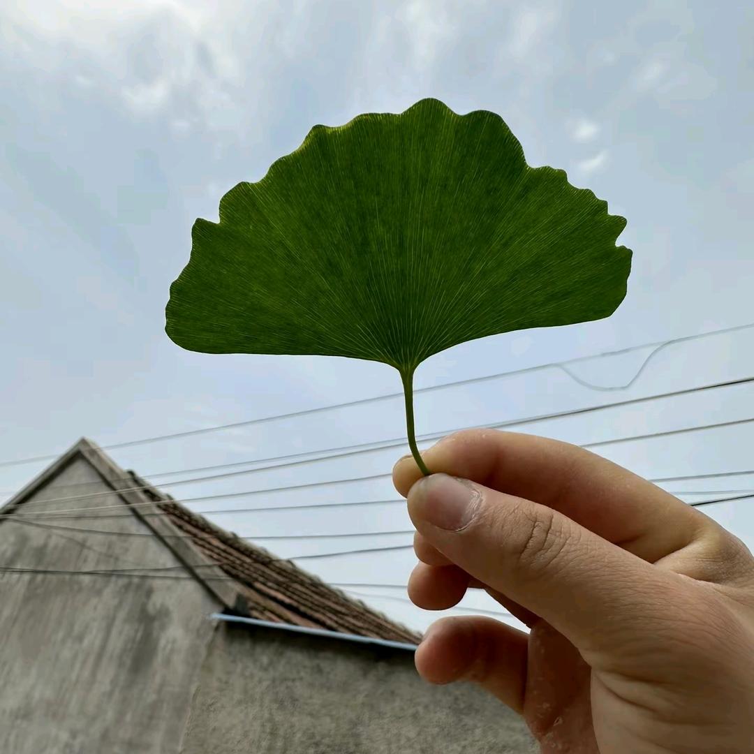 HDUW健身器材厂家