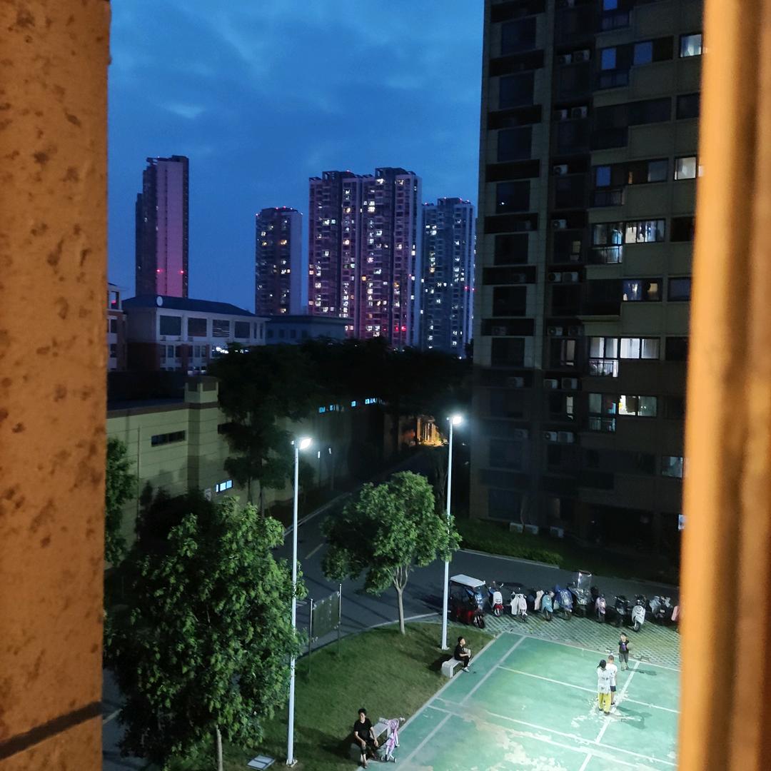 牡丹（我）