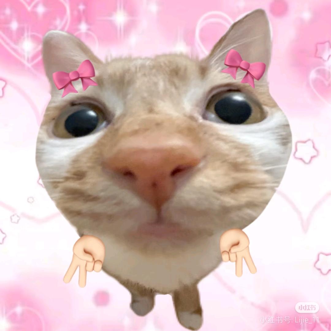 AA恶毒黄小姐婉拒过吴世勋（见过鹿晗版）