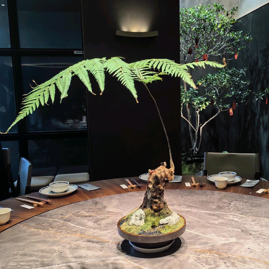 天竺