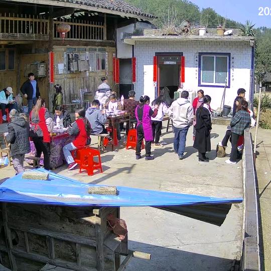 贵州不酸的李子