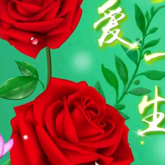 刘卫芹