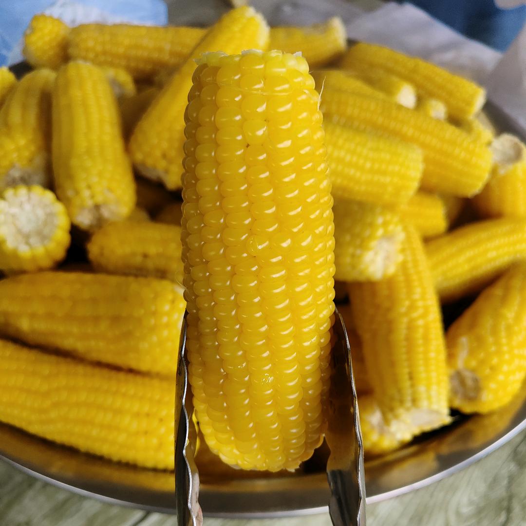 娜家玉米🌽