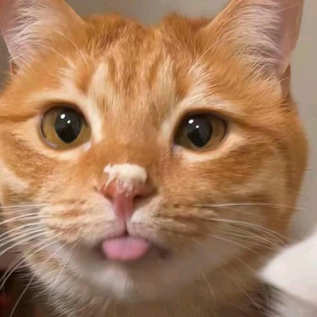 oooo