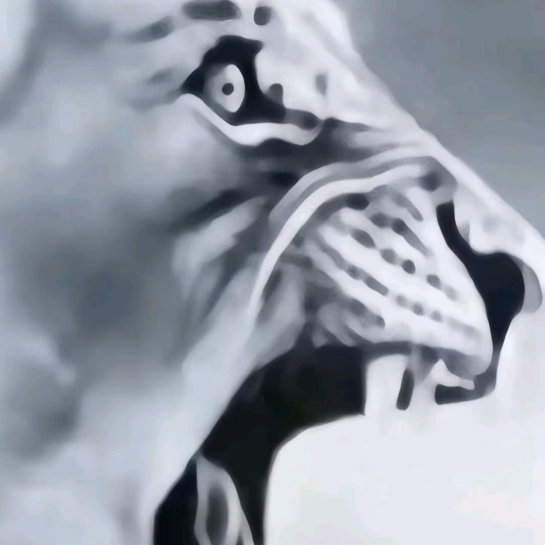 欣