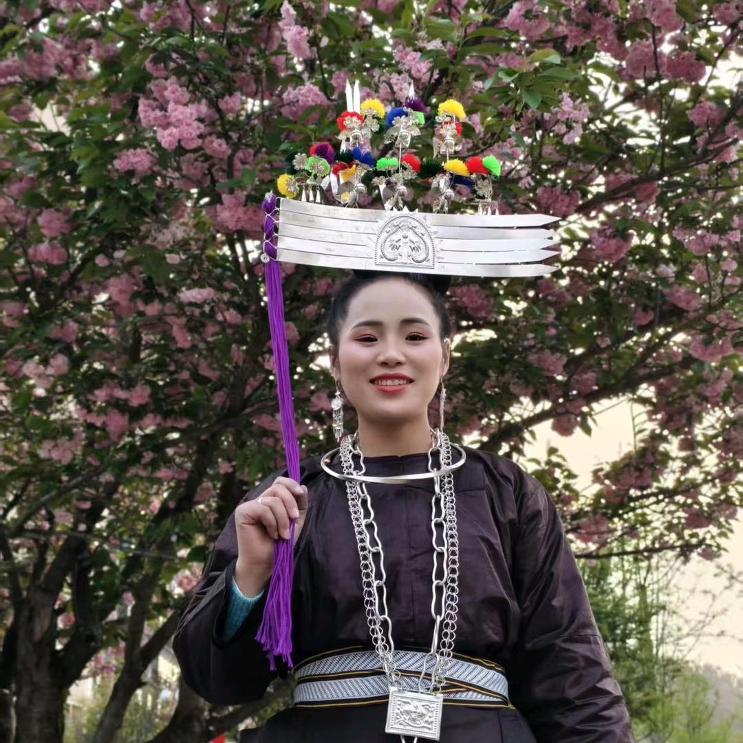 苗家姐姐（窝）