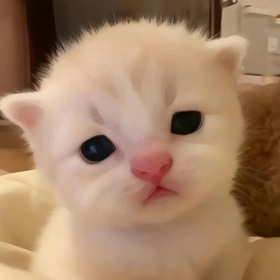 咯咯哒
