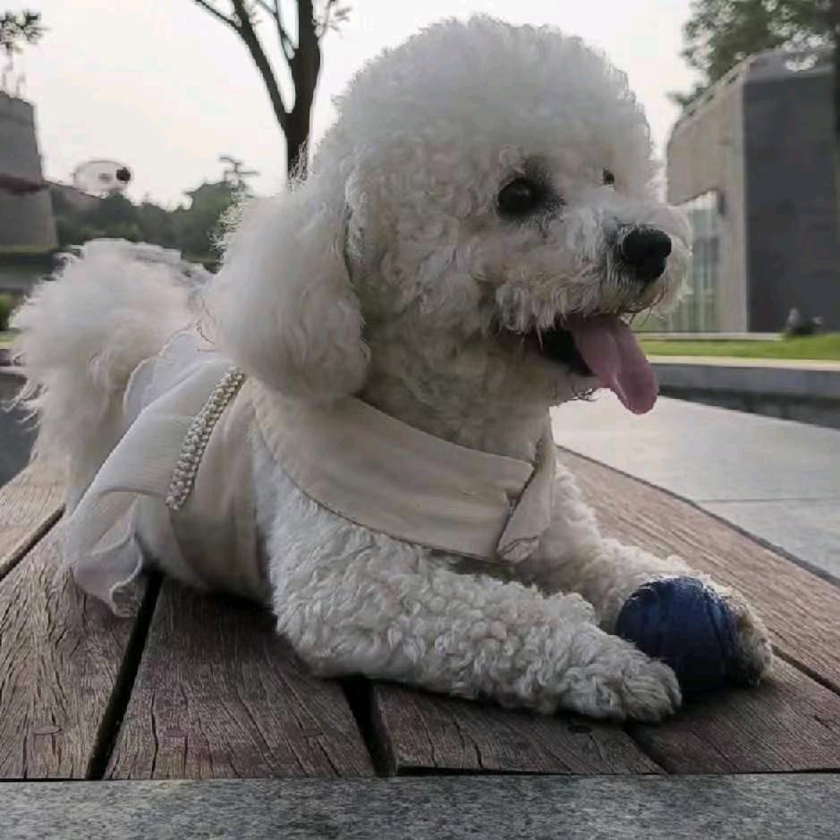 左手画爱
