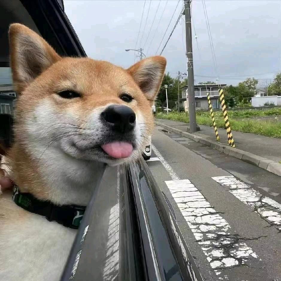 青烟繁