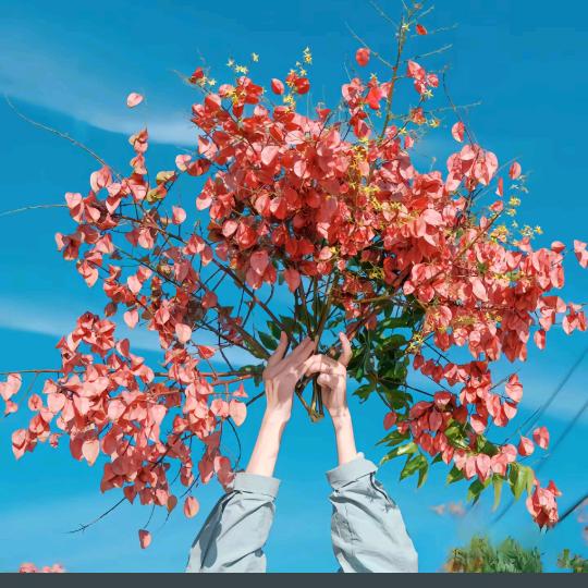 9鸿珠纺织品经营部2