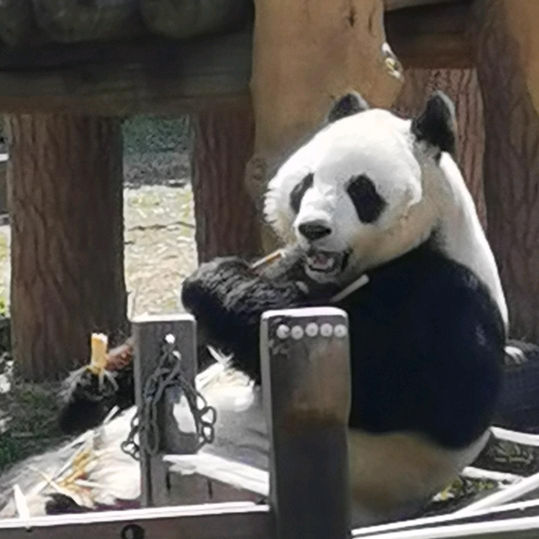 用户1308491486537雨菏