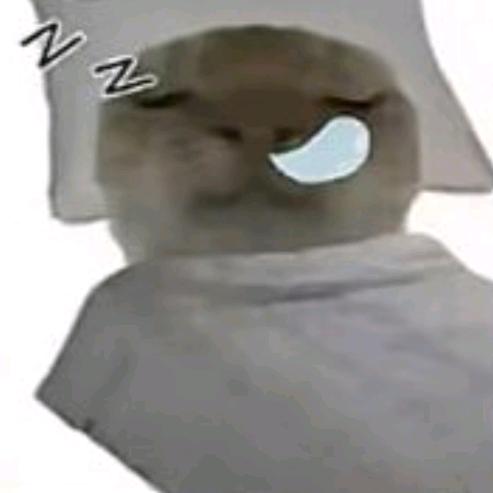 阿漫子