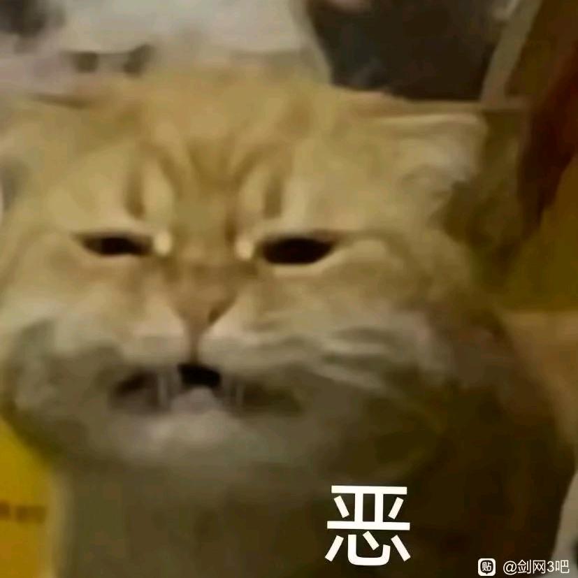 北北爱吃胡萝北