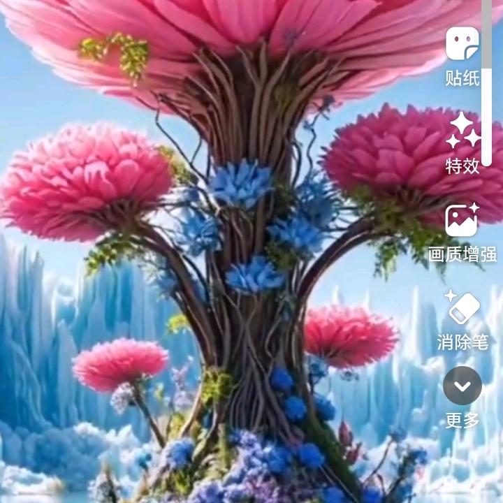 🌹🌹🌹🌹🌹🌹珍惜