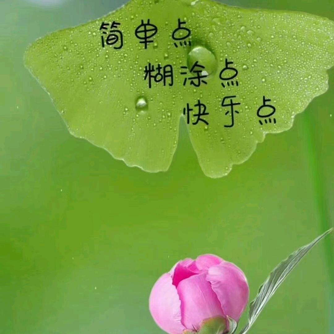 世界再大我还是遇见了你