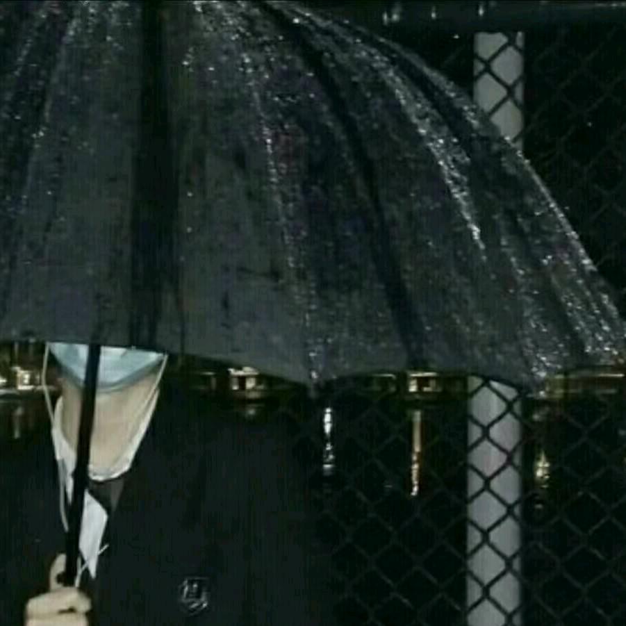 等风来／等风归